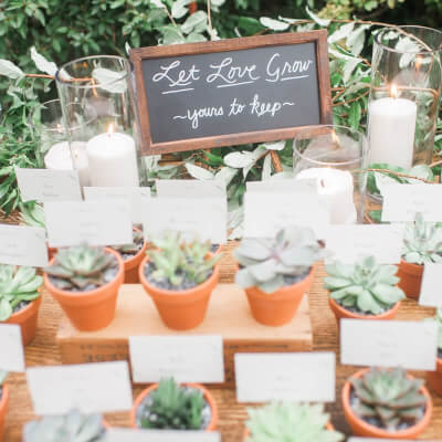 Inspiring Succulent Favor Decor With Terracotta Pots, Succulents, Sign Board, Glass Vases, & Candles